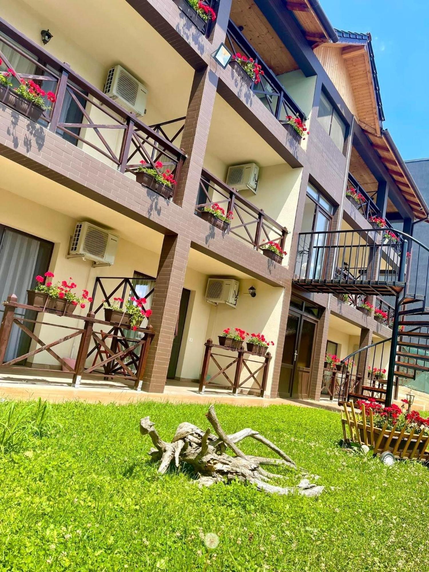 Mustaciosul Dunarii Hotel Ieşelniţa Bagian luar foto